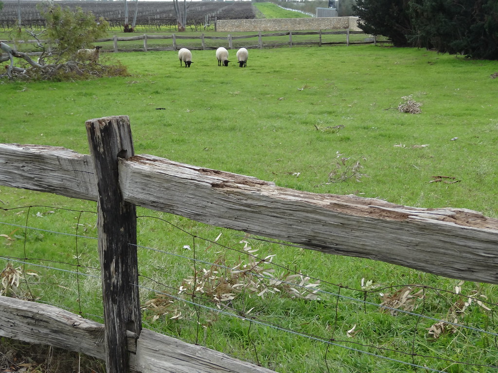 Professional roofing contractors on residential project